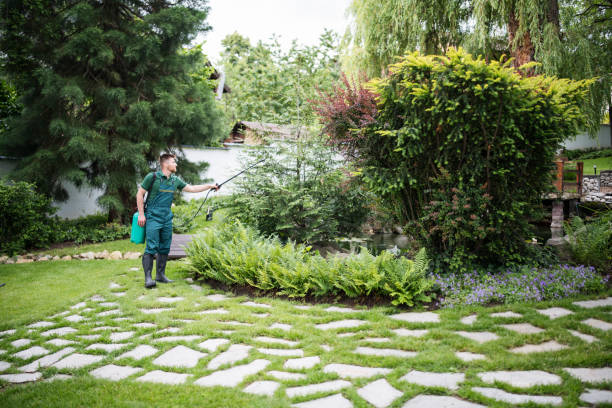 Best Pest Prevention Services  in Orono, MN